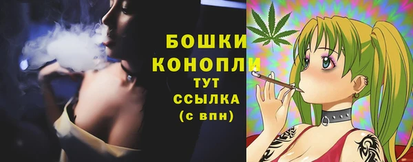 стафф Елизово