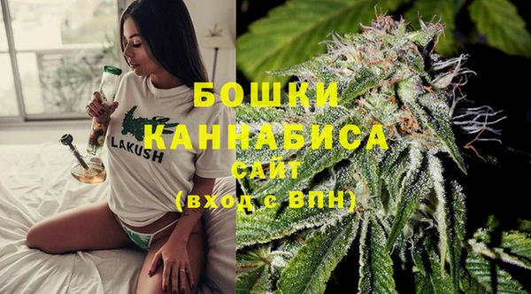 стафф Елизово