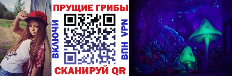 Псилоцибиновые грибы Psilocybine cubensis Ковров