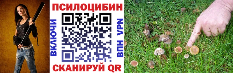 купить наркотики цена  маркетплейс формула  Псилоцибиновые грибы прущие грибы  Ковров 